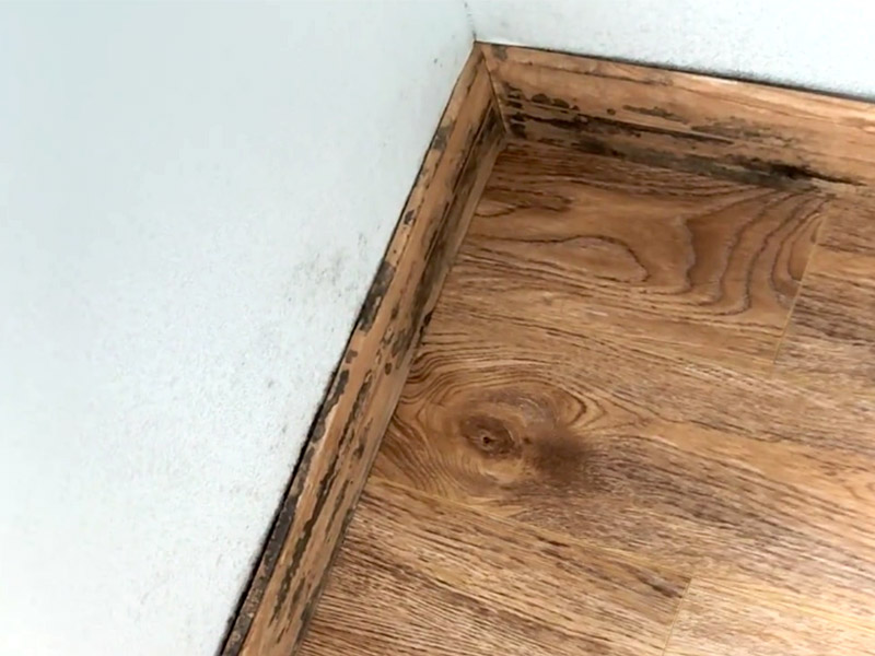 Wie entferne ich Schimmel von Fußleisten?