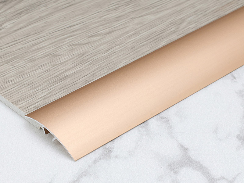 T&uuml;rschwellenleiste aus Metall