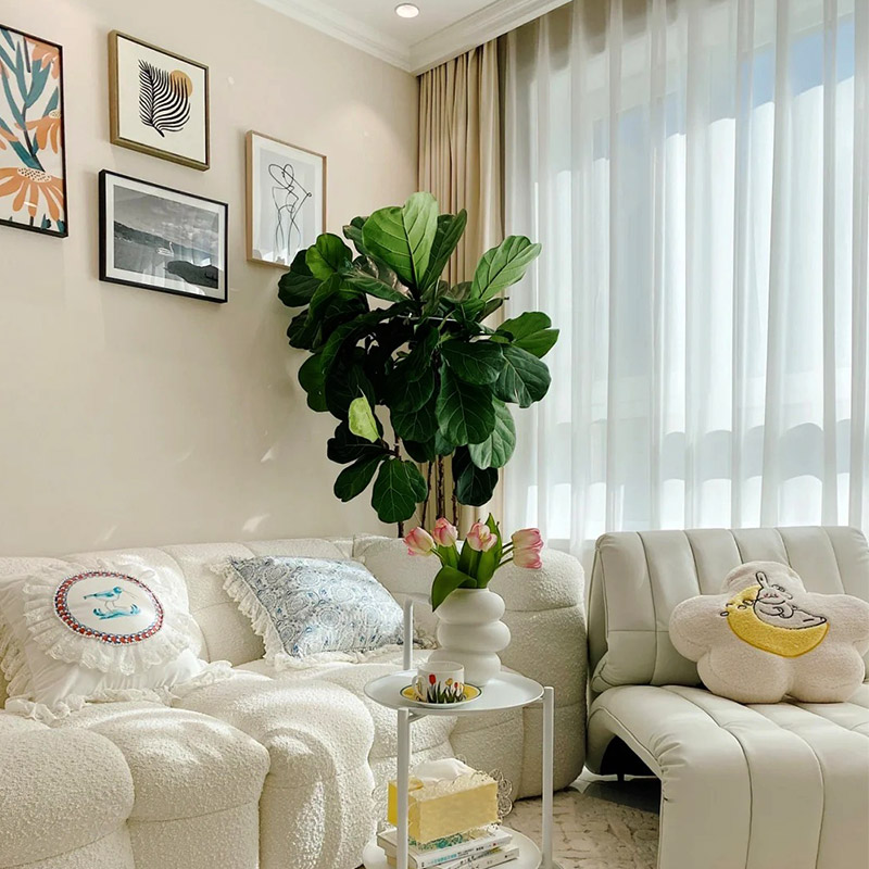 Was sind die Vor- und Nachteile von Kieselalgenschlamm?