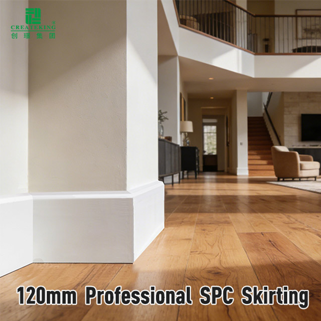 120 * 15,5 mm SPC-Basisplatine