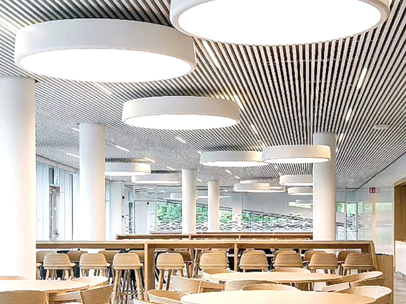 Was sind WPC -Deckenpaneele?