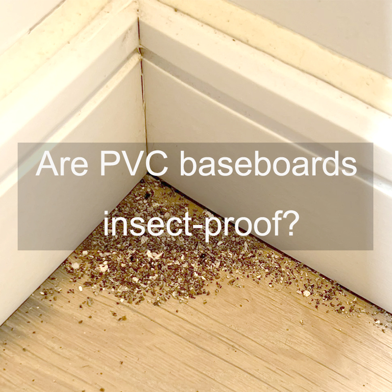 Sind PVC-Fußleisten insektensicher?