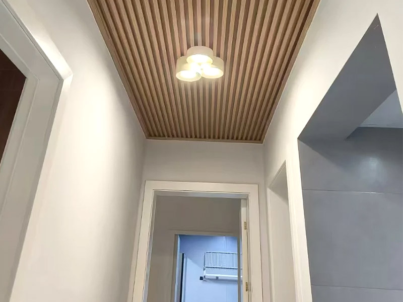 Können Wandpaneele an der Decke angebracht werden?