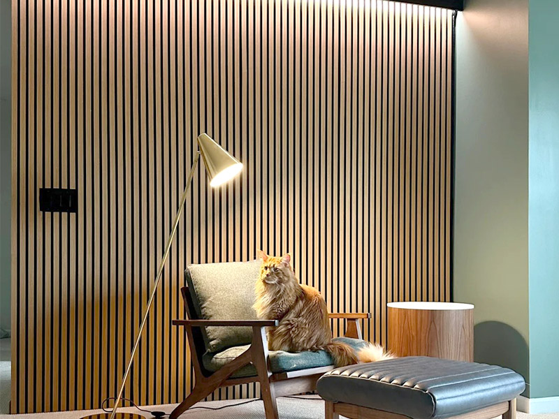 Ist es eine gute Idee, Schleiferwandpaneele zu installieren?