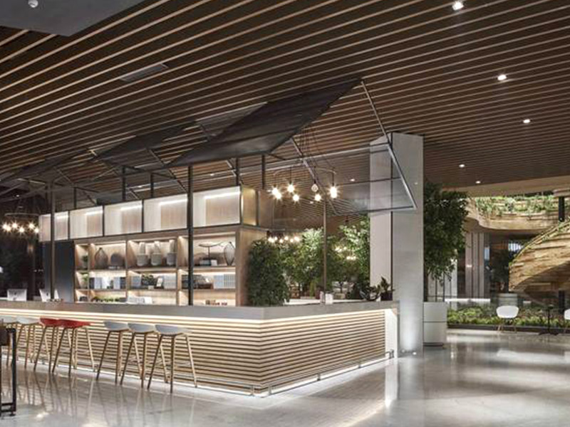 Umfassender Leitfaden für Deckenleitungen